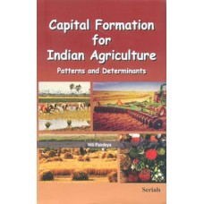 Capital Formation for Indian Agriculture : Patterns and Determinants