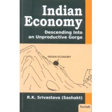 Indian Economy Descending Into an Unproductive Gorge